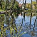Teich