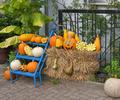 buerlichers Herboldshof: