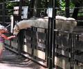 Einen kleinen feinen Tierpark hat Geithain.