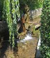 Wasserrad