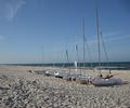 Weststrand der Insel Hiddensee,
