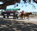 Materialtransport zum Weststrand. 