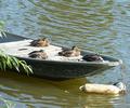 nachhaltige Flufahrt