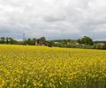 Neuendorf