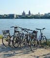 in Wiesbaden Kastel nach Mainz blicken